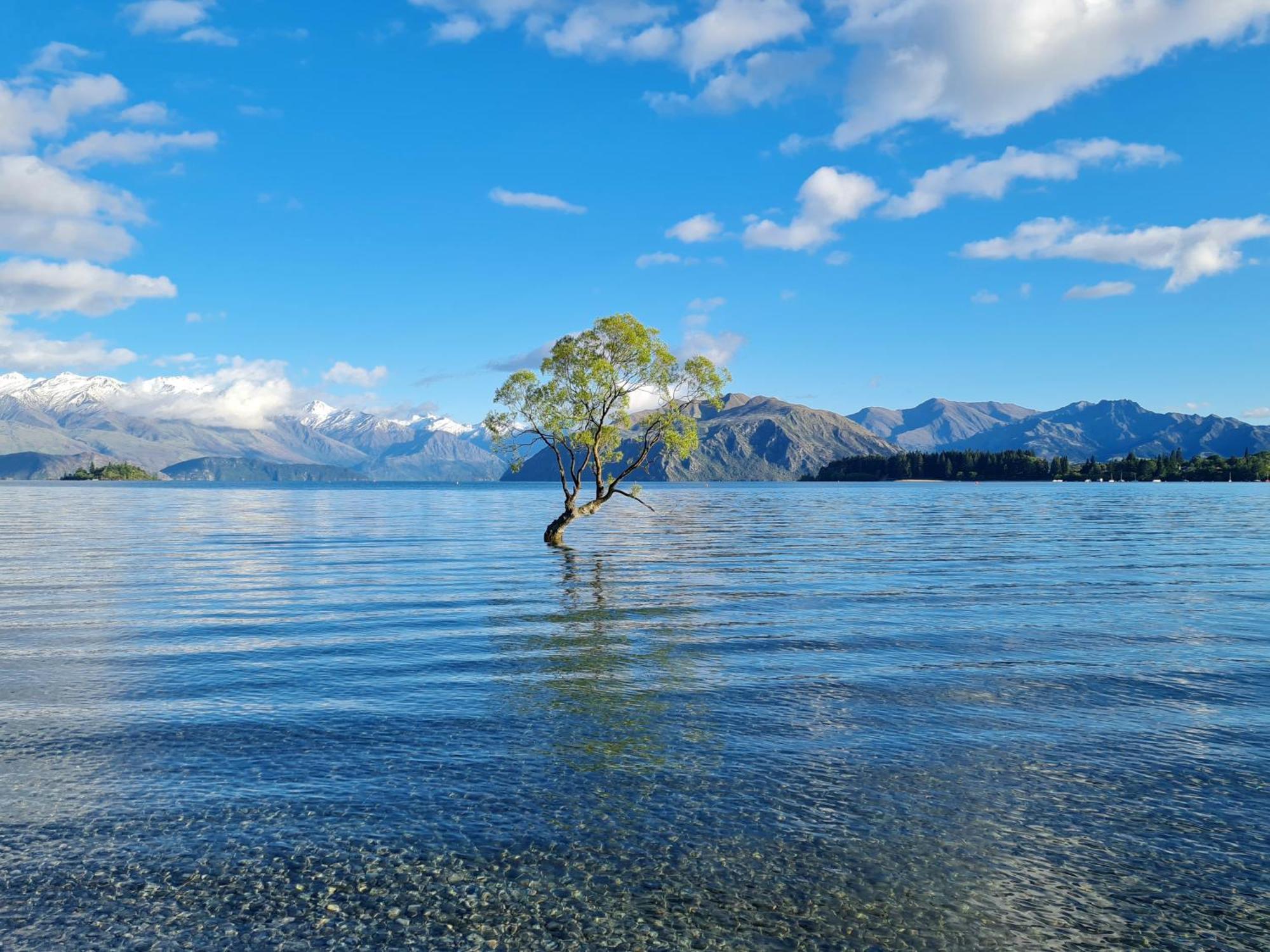 Hampshire Holiday Parks - Wanaka Exteriör bild